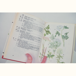 Lademanns naturf�rer