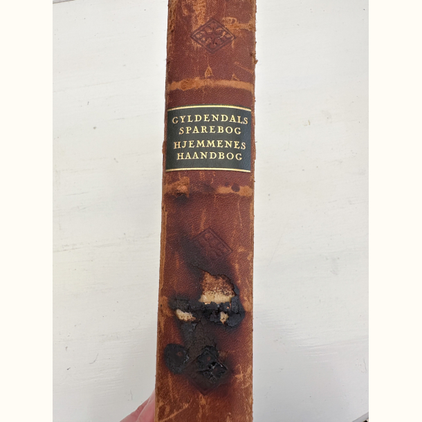 Gyldendals sparebog - Hjemmenes h�ndbog