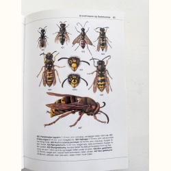 Hvad finder jeg i skoven