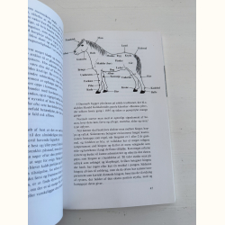 Hest og pony til husbehov