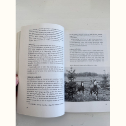 Hest og pony til husbehov