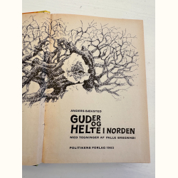 Guder og helte i norden