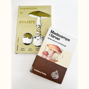 To b�ger om svampe