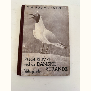 Fuglelivet i de danske strande