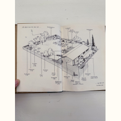 Hvad skal jeg plante