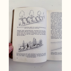 Hvad skal jeg plante