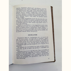 Hvad skal jeg plante